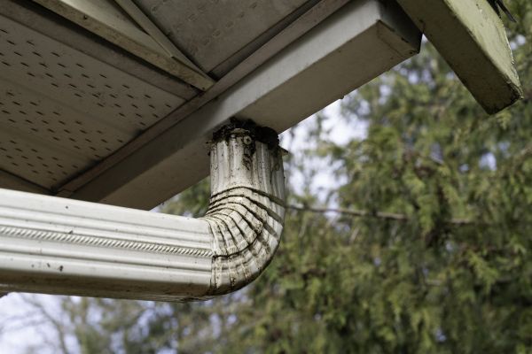 Roof Drain Replacement in Monroe