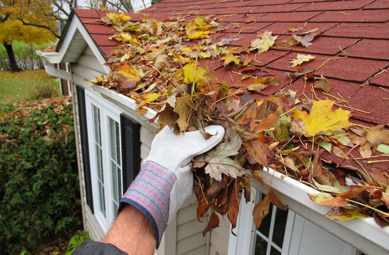 Best Time to Hire Gutter Professionals